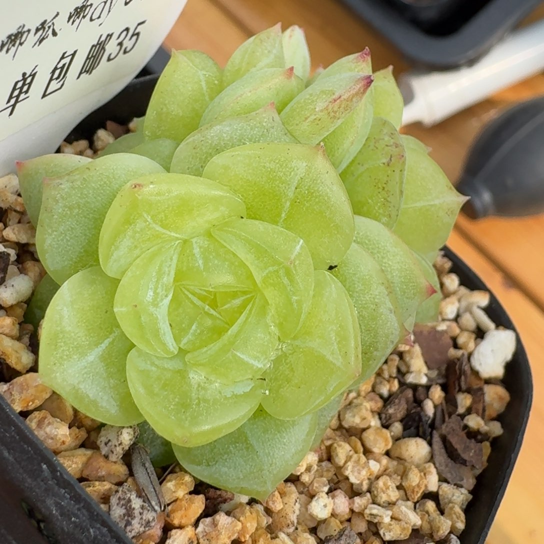 0425-035-3013群一颗