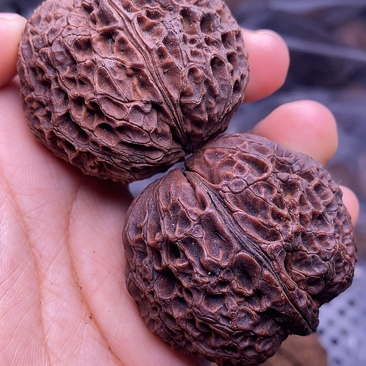 把件文玩核桃   11