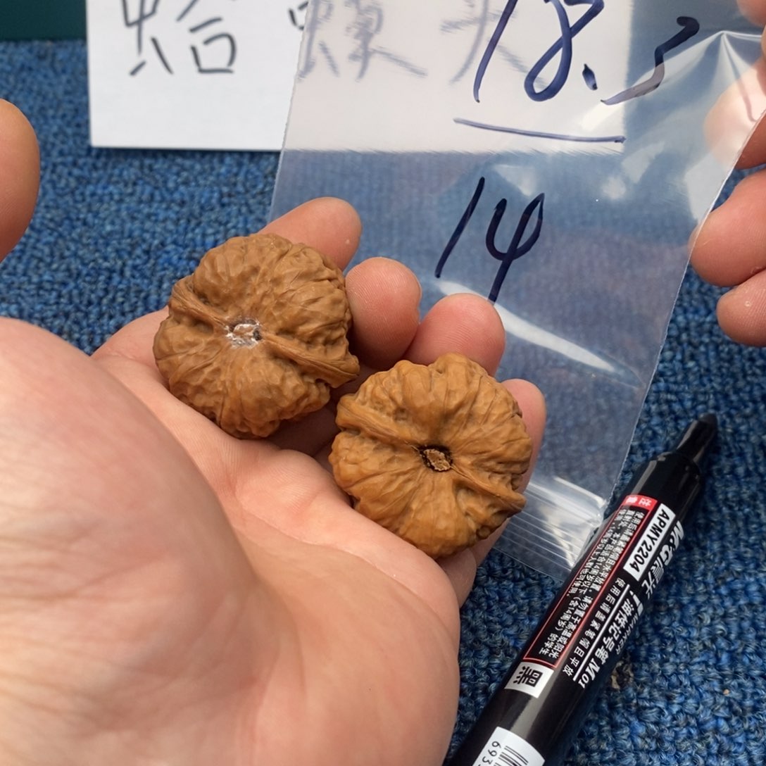 哈哈哈哈哈哈哈哈哈哈哈