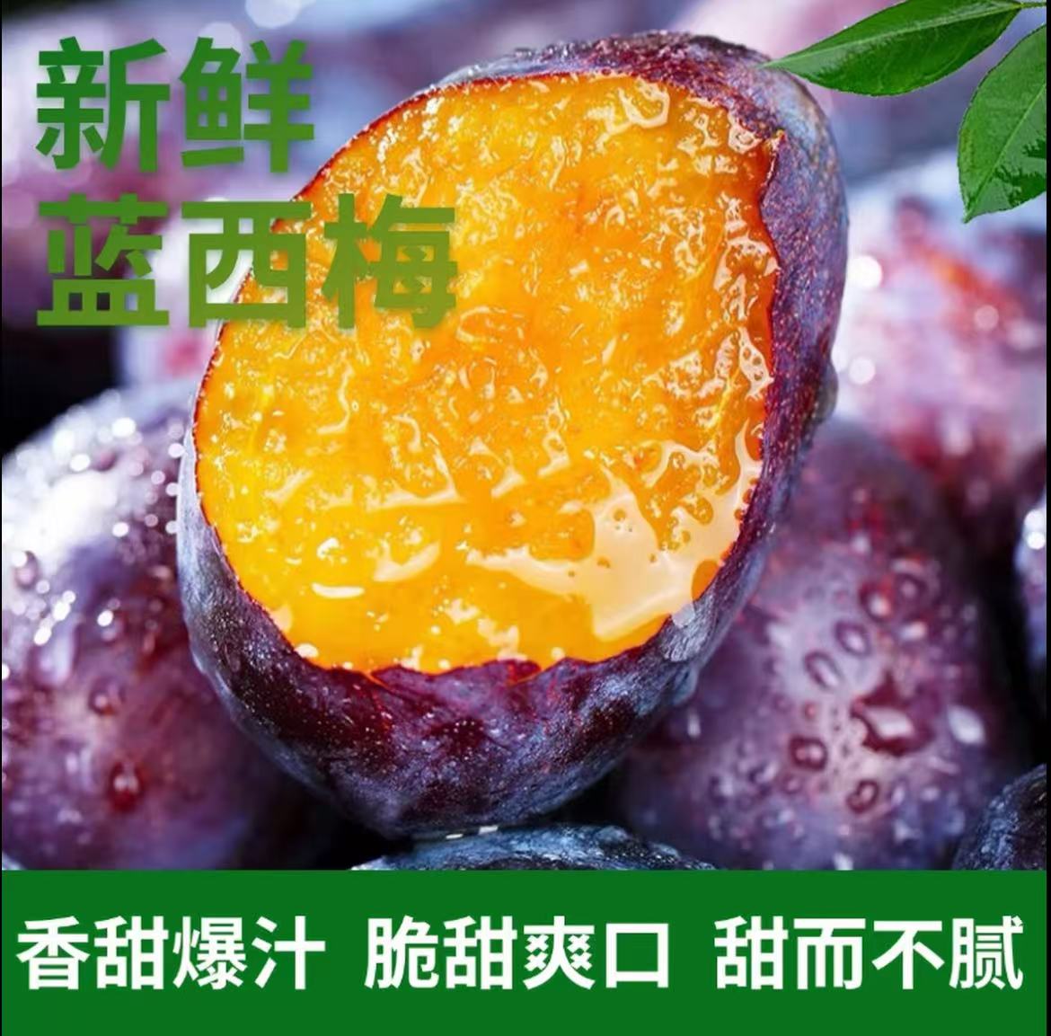 2025年头茬西梅水果 新鲜现摘西梅酸甜可口 多汁当季