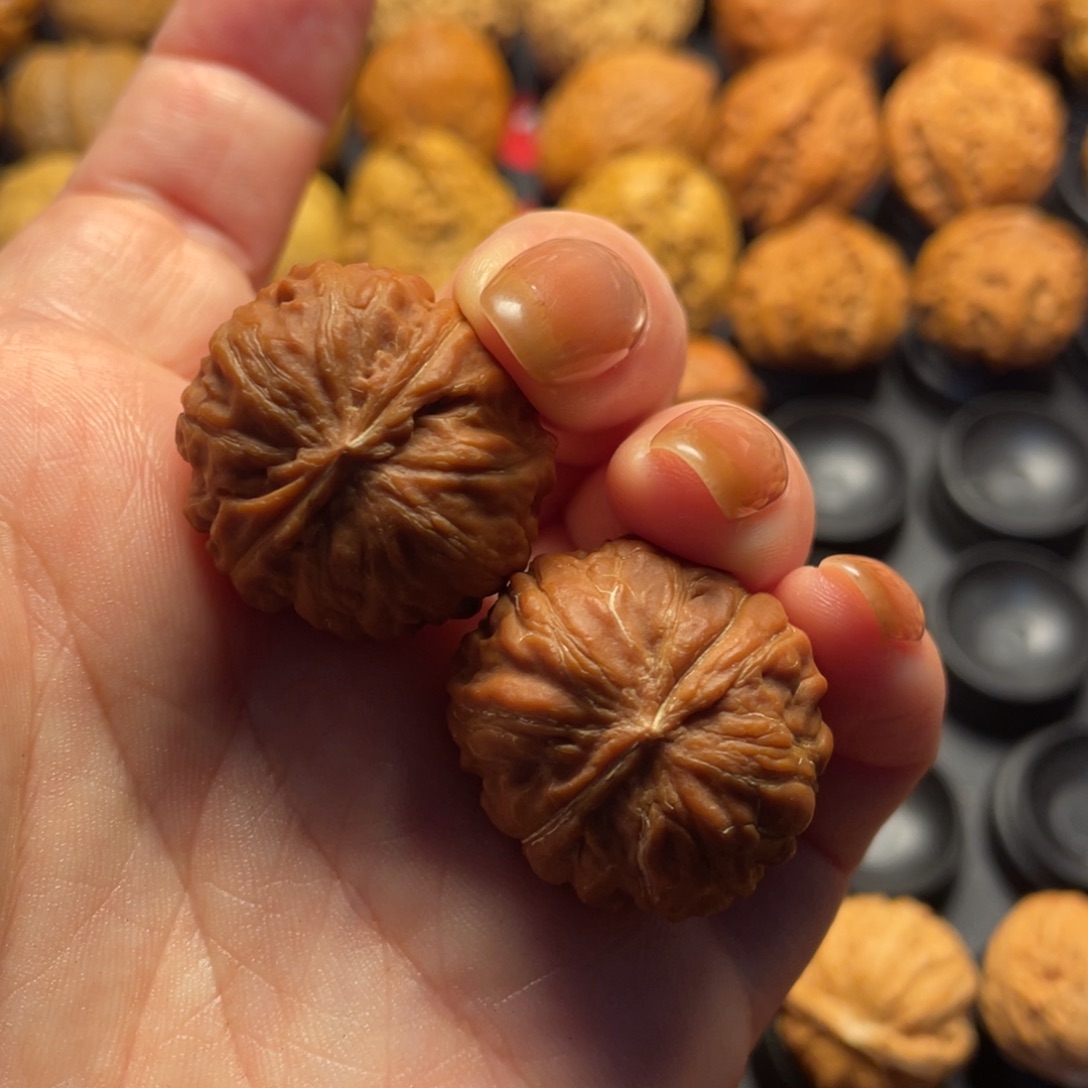 佛***系文玩核桃把件核桃