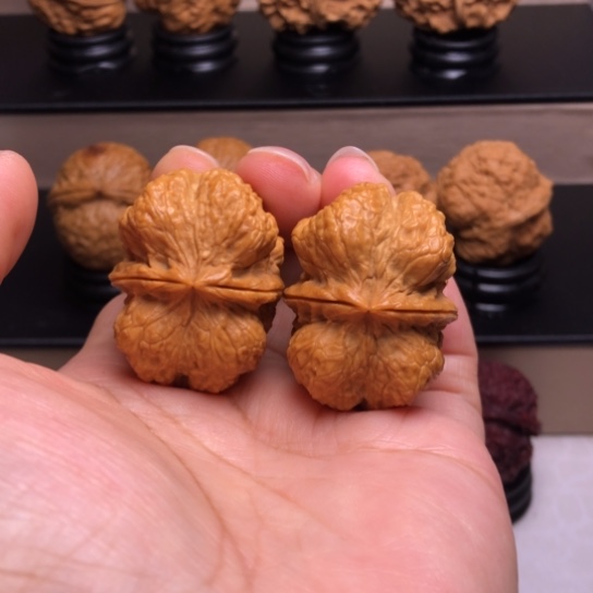 文玩核桃把件霸王龙脊37