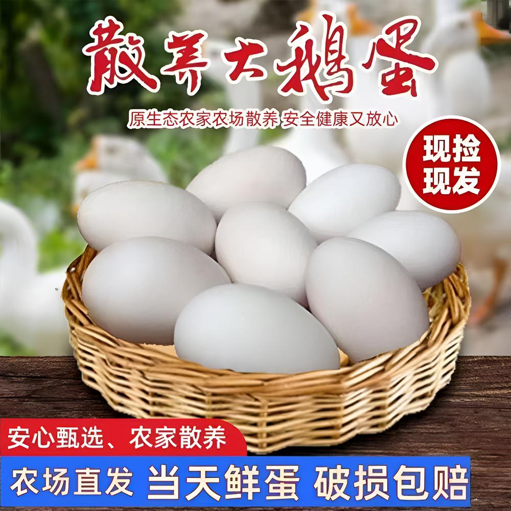 【6枚专拍】农家土鹅蛋自家水库散养大鹅蛋现下现发新鲜保真