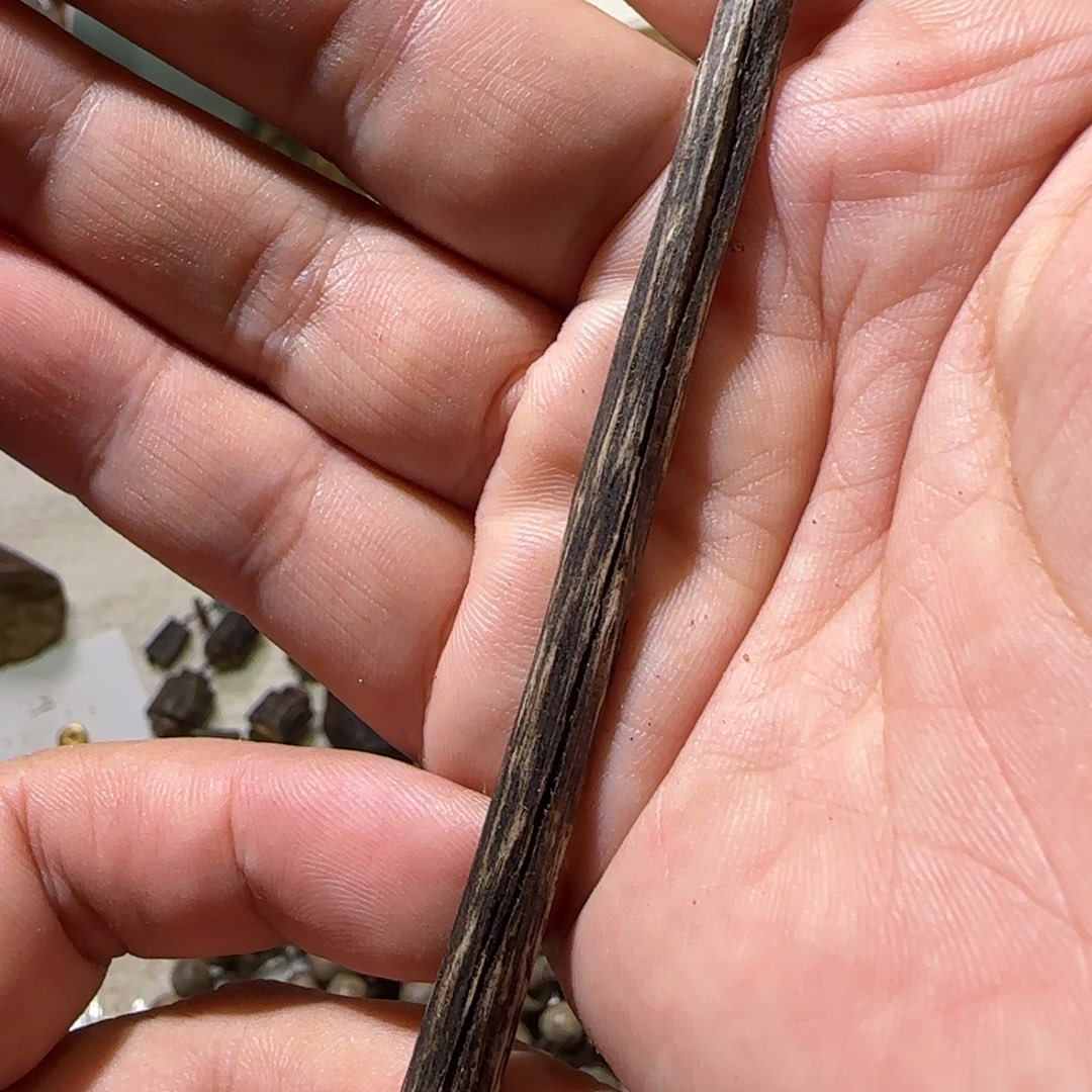 沉香碎屑沉香2.4克海南黎母山紫棋棋楠种9分沉