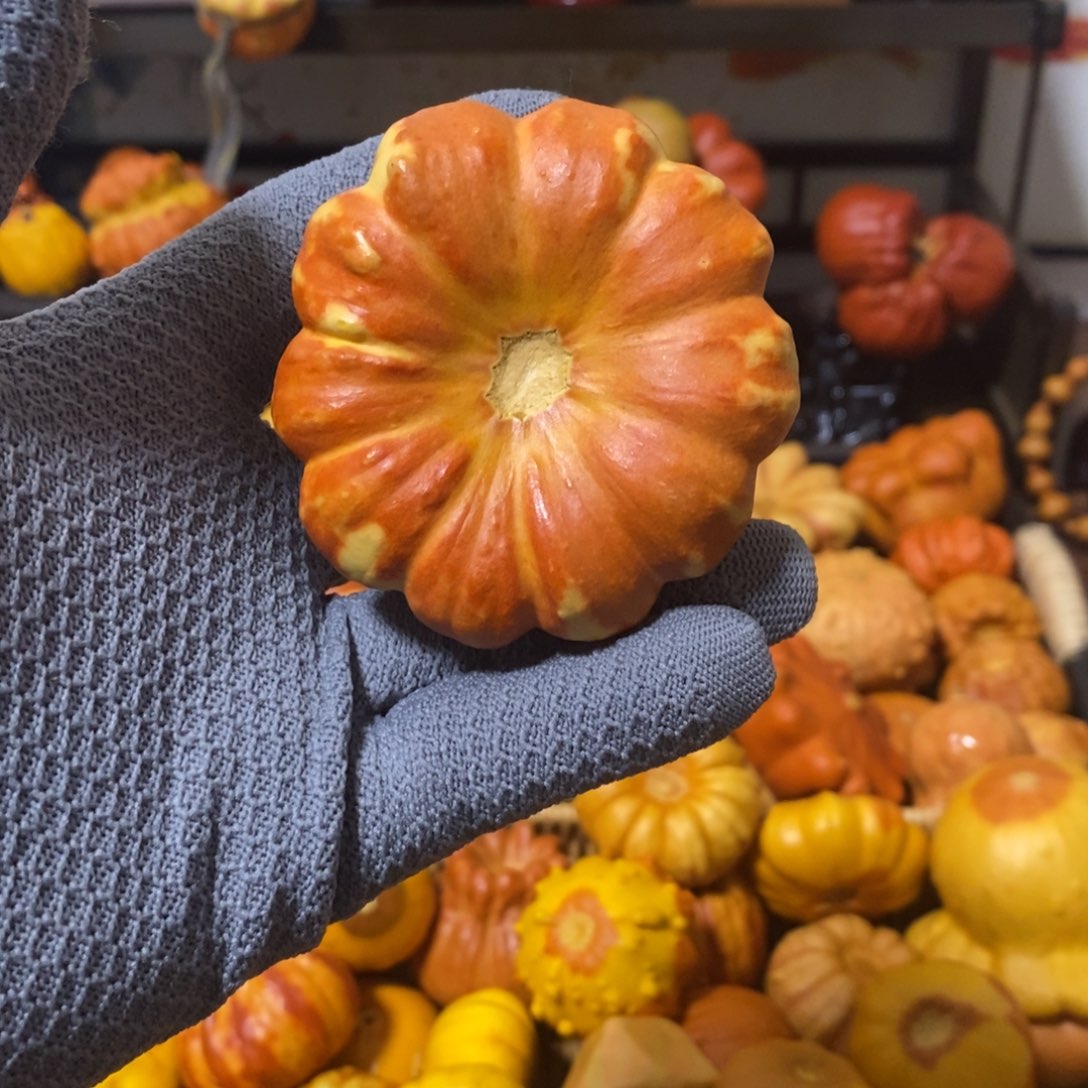 ****漏666656555555555555566