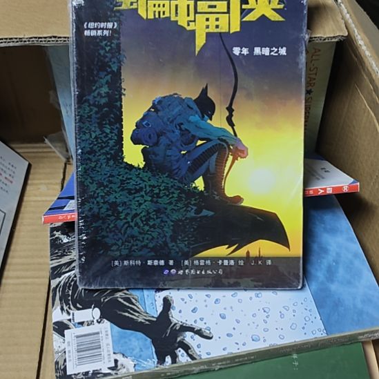 蝙蝠侠零年黑暗之城