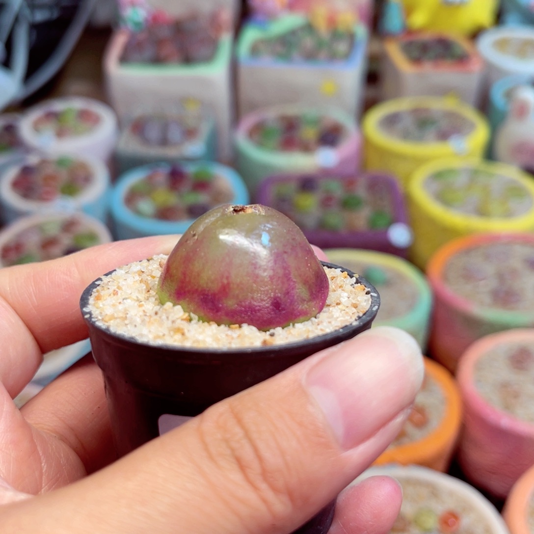 319. 88888999988888888