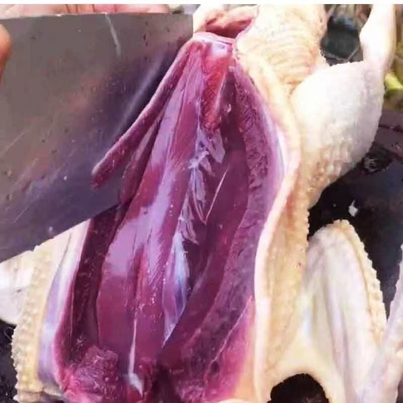 云南农家散养红嘴大鹅鲜宰带腿带翅膀内脏美味佳品土鹅老鹅大只老