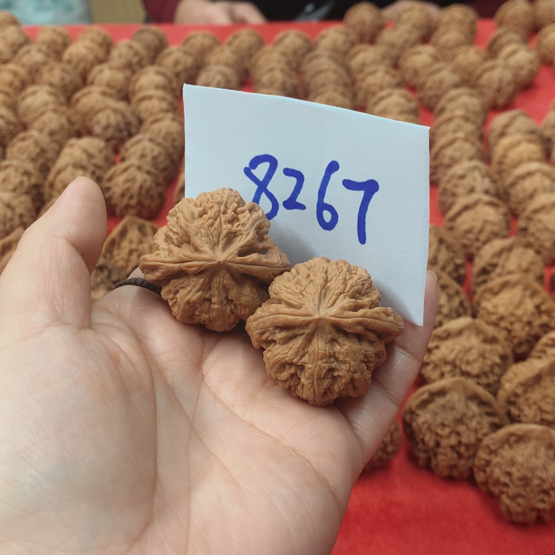 核桃手串/手链电*电粗筋40尺核桃