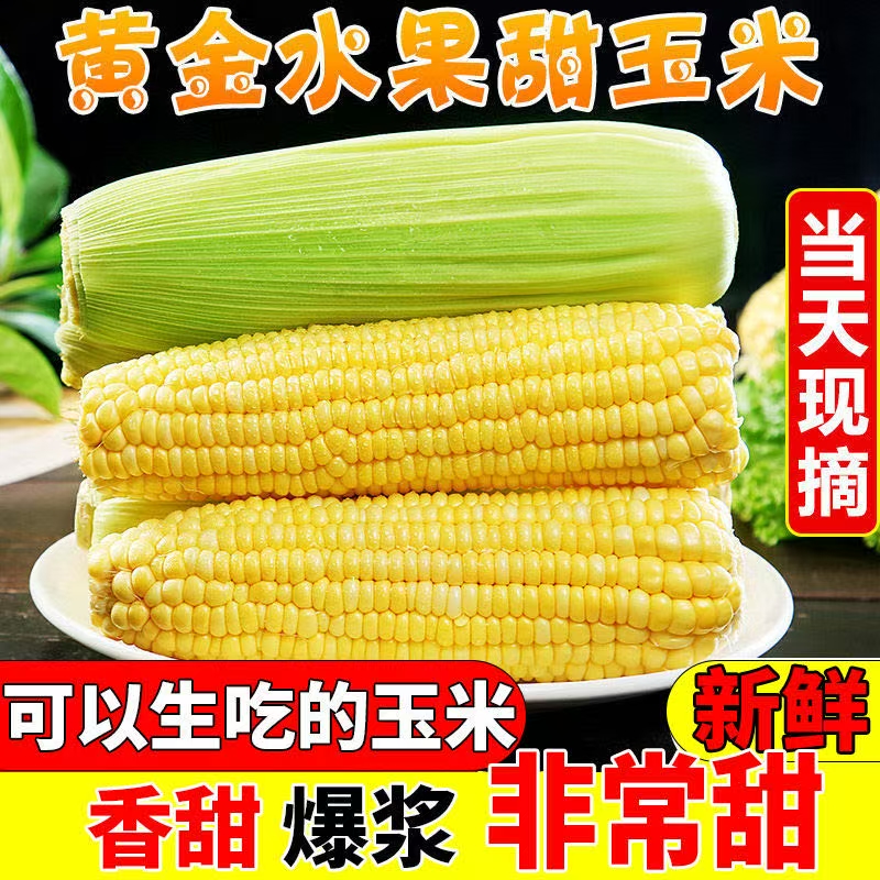 【爆甜】正宗水果玉米新鲜黄金玉米脆甜多汁甜玉米带壳爆浆鲜食
