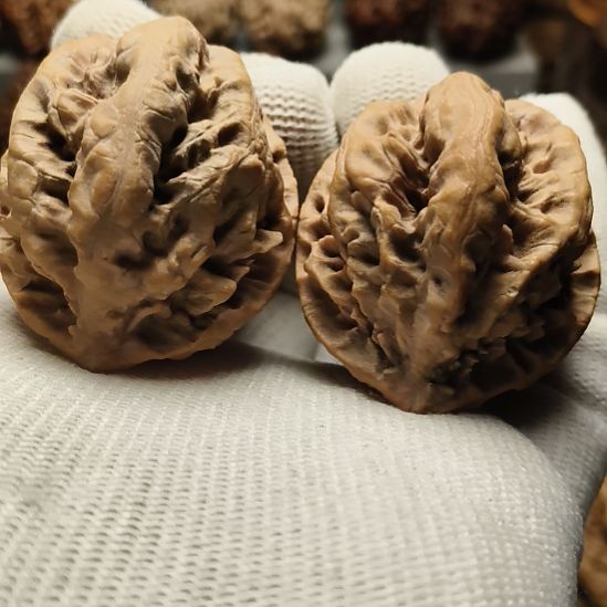 吊坠文玩核桃大楸核桃5号