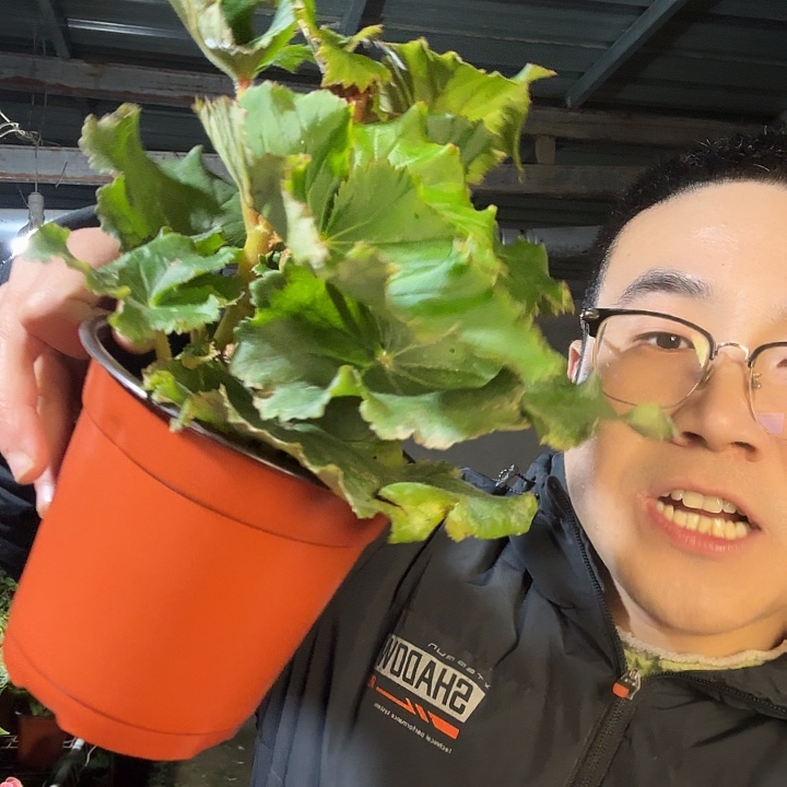 上***水完全开放红色➕保温