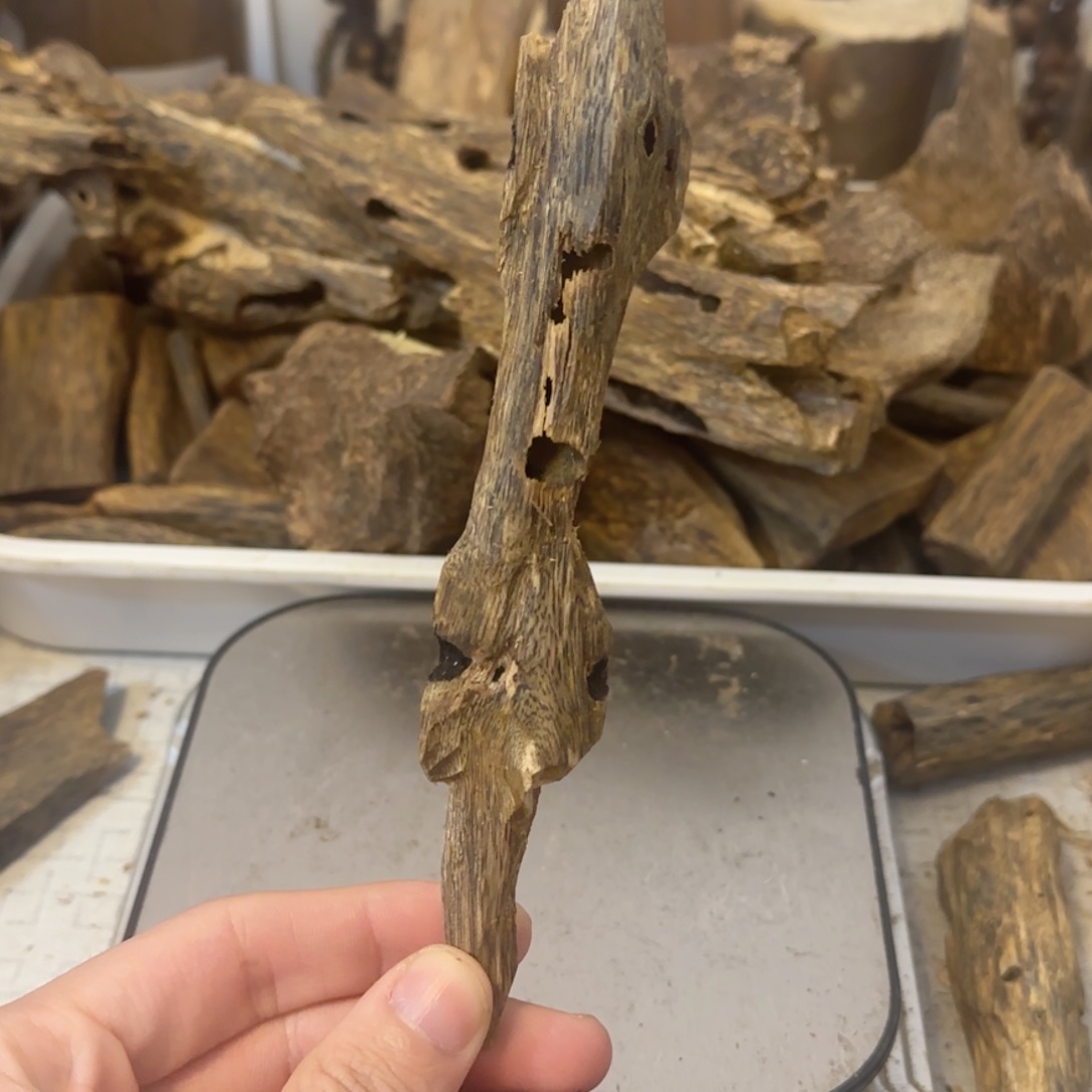 沉香碎屑沉香13g绿奇楠虫漏