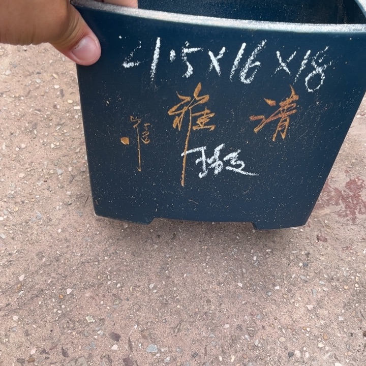 紫砂花盆宜兴紫砂