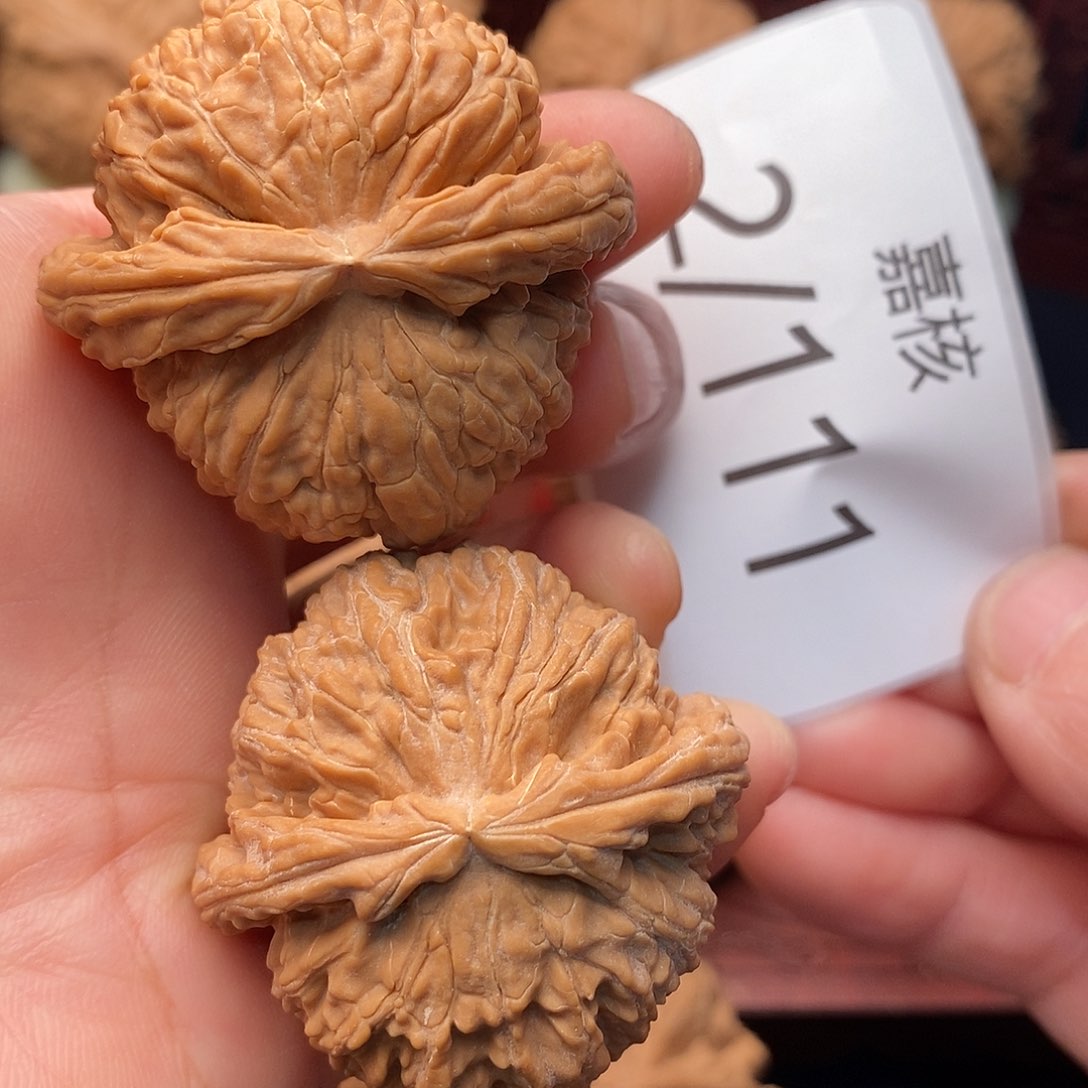 文玩核桃把件41老树白狮子