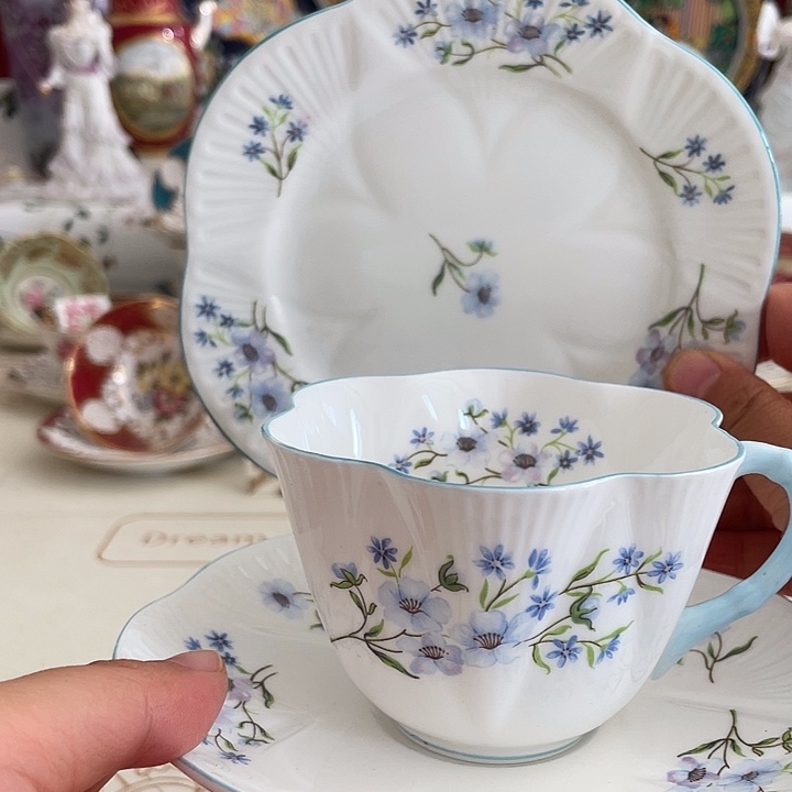 盘维多利亚欧洲中古