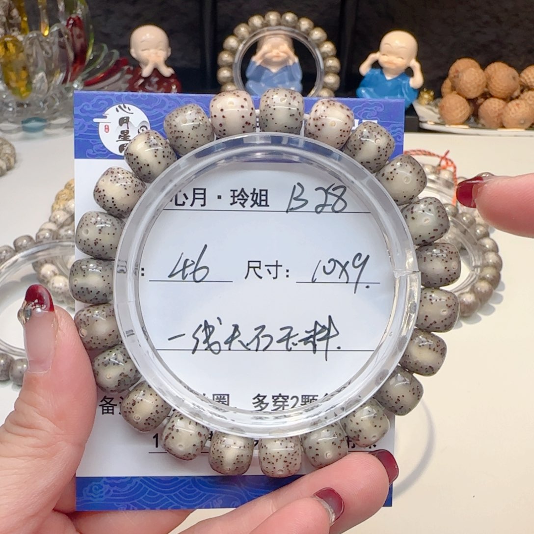 心月星月菩提一号B28