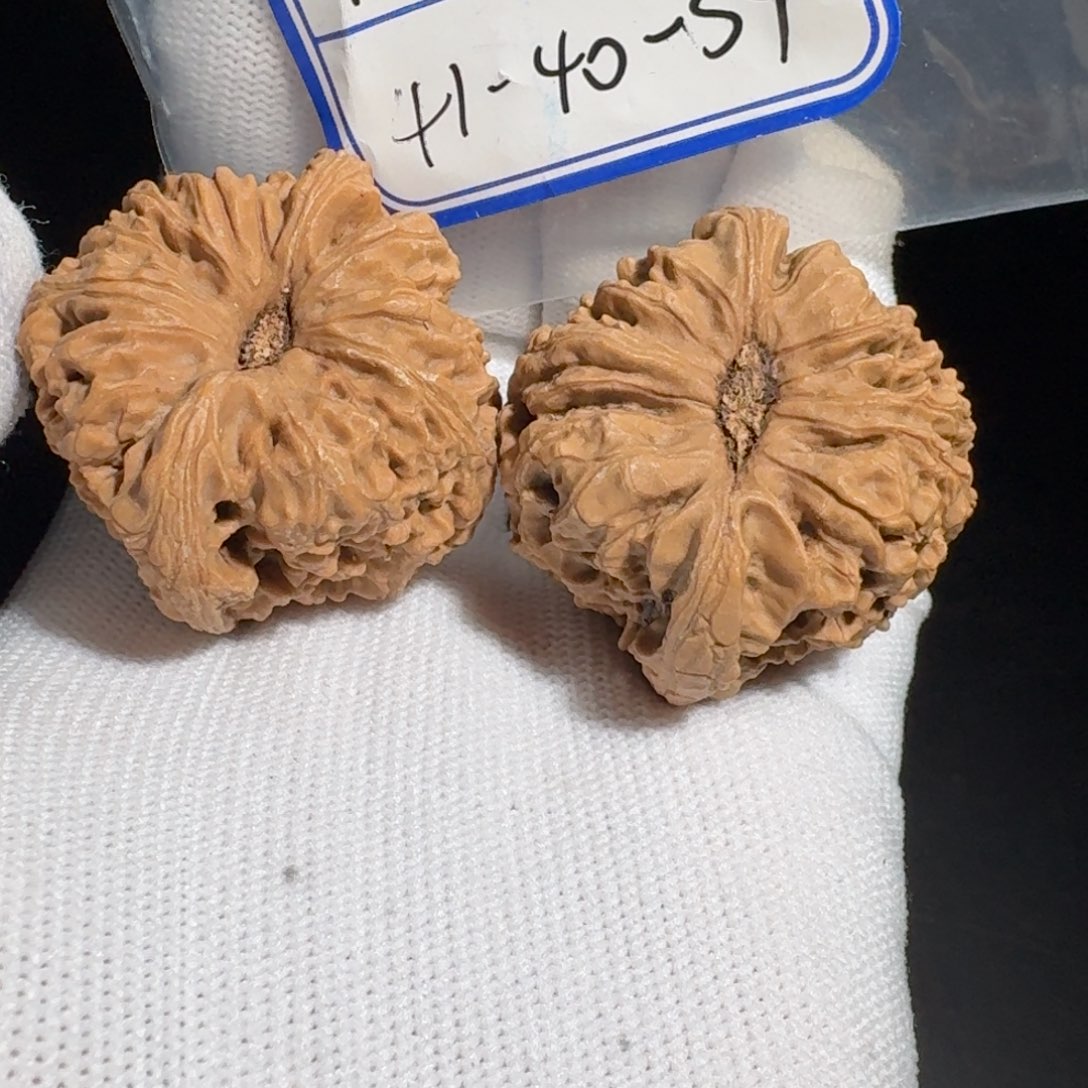 文玩核桃把件26号村将hs