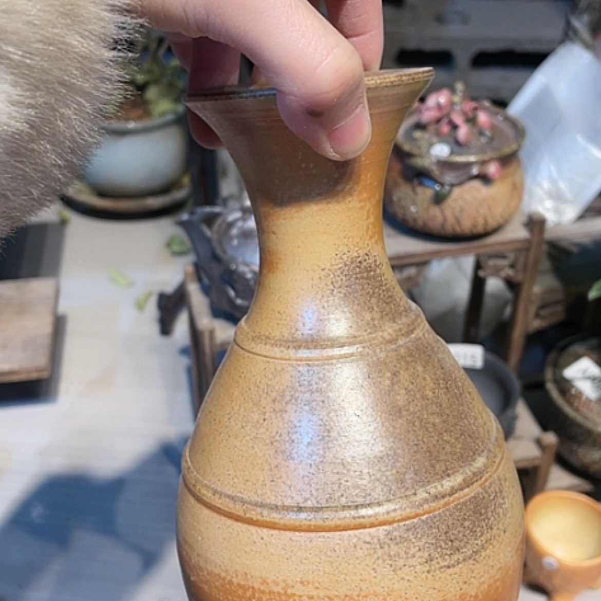 【闪购商品】福利多多福利多多