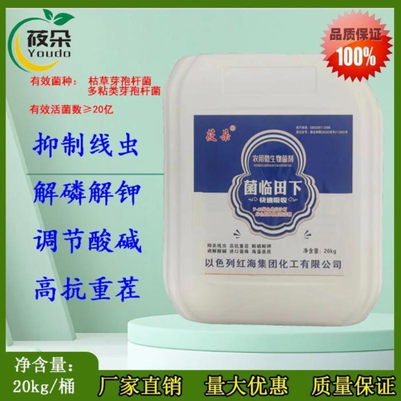 菌临天下桶肥20公斤一桶疏松土壤生根促长蔬菜果树通用冲施滴灌