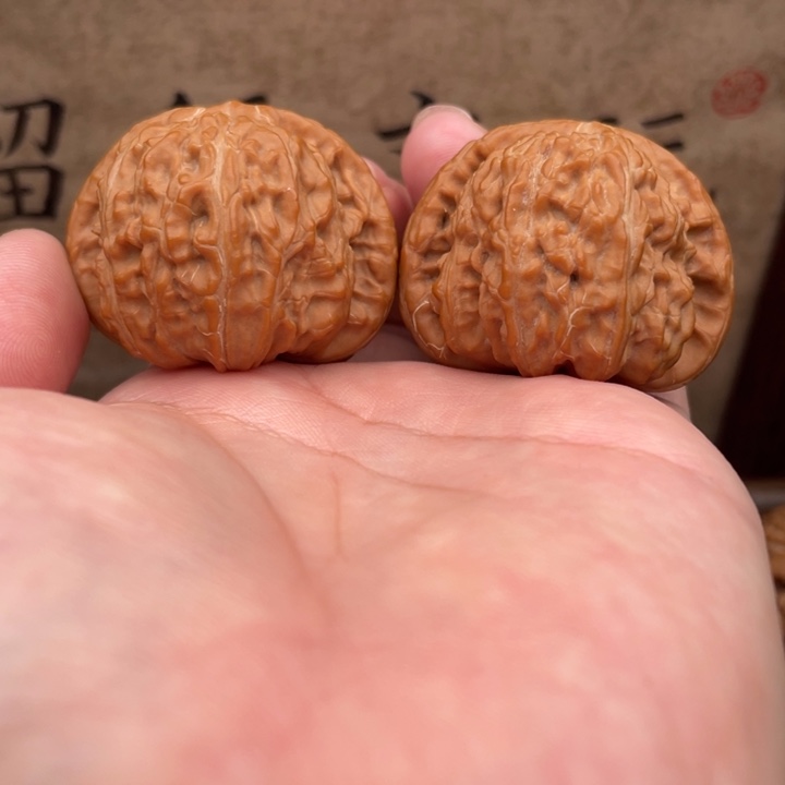 把件文玩核桃41尺白狮子