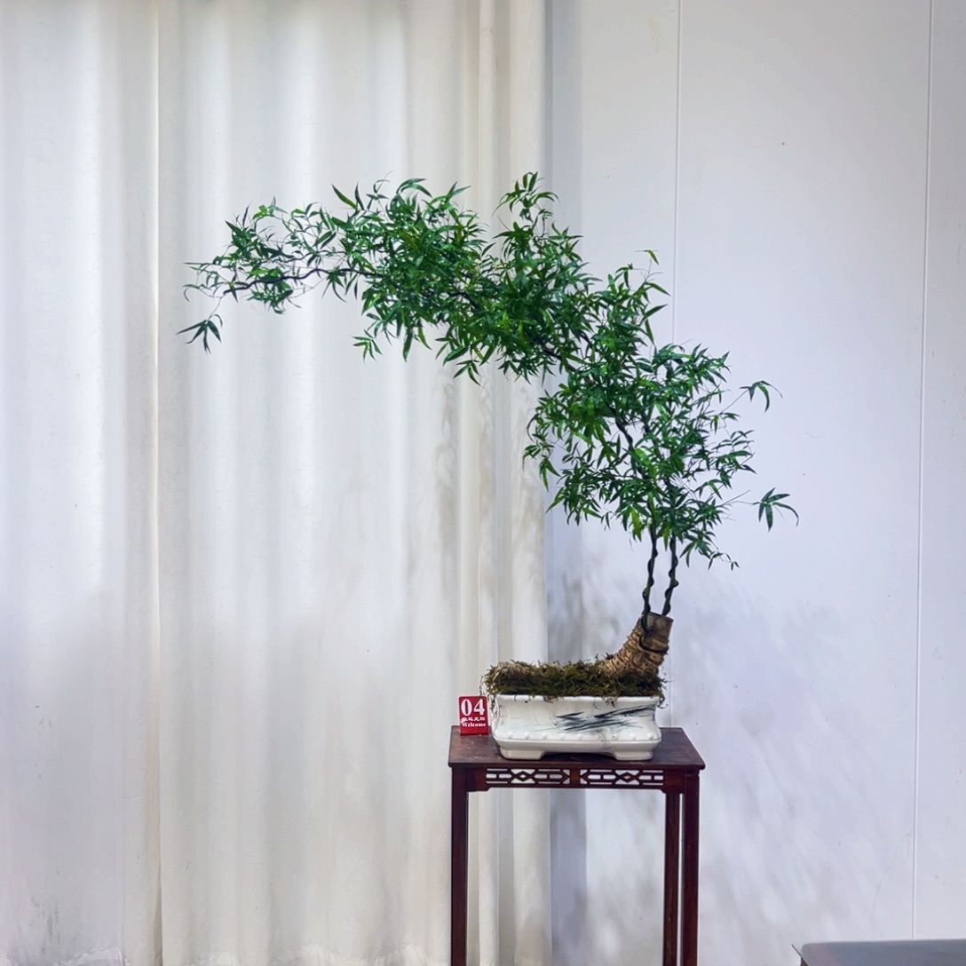 无花朵斜卧桩双杆