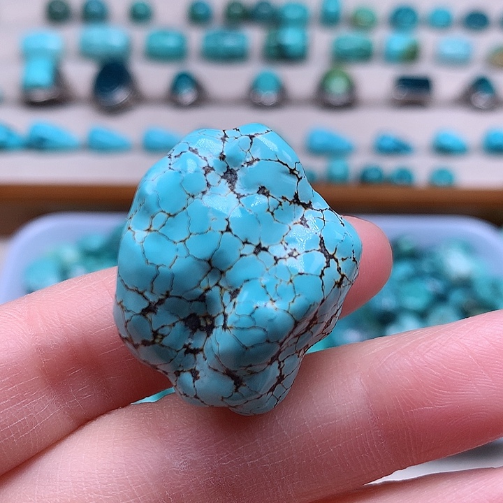 绿松石颈饰未镶嵌