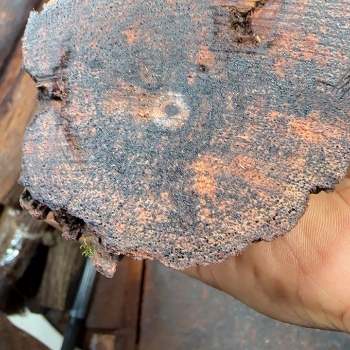 木源**断定制手串降真香