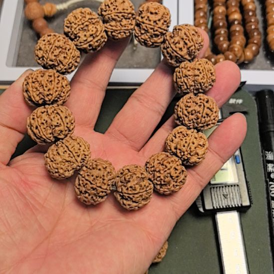 金刚菩提手串六瓣大金刚手串，22左右尺寸，原皮原色，今年新籽