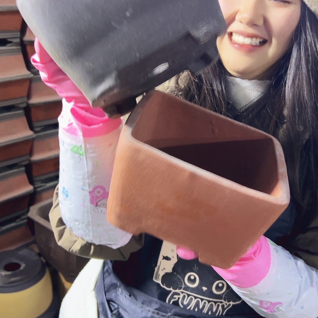 17紫泥四方+17红色四方