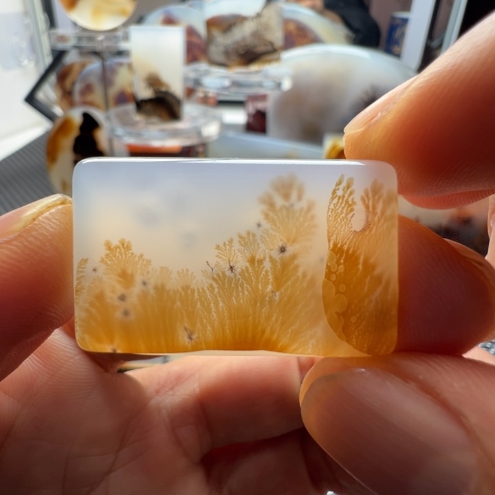 未镶嵌玛瑙/玉髓珠宝奇石