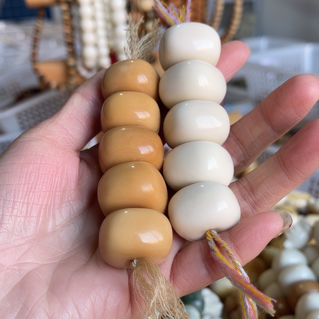 香榧木111111111111