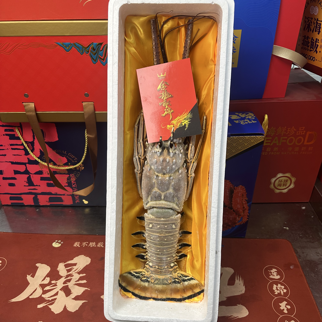 古巴龙虾，一只重2.5斤—3.5斤。肉质紧致鲜甜层次丰富。
