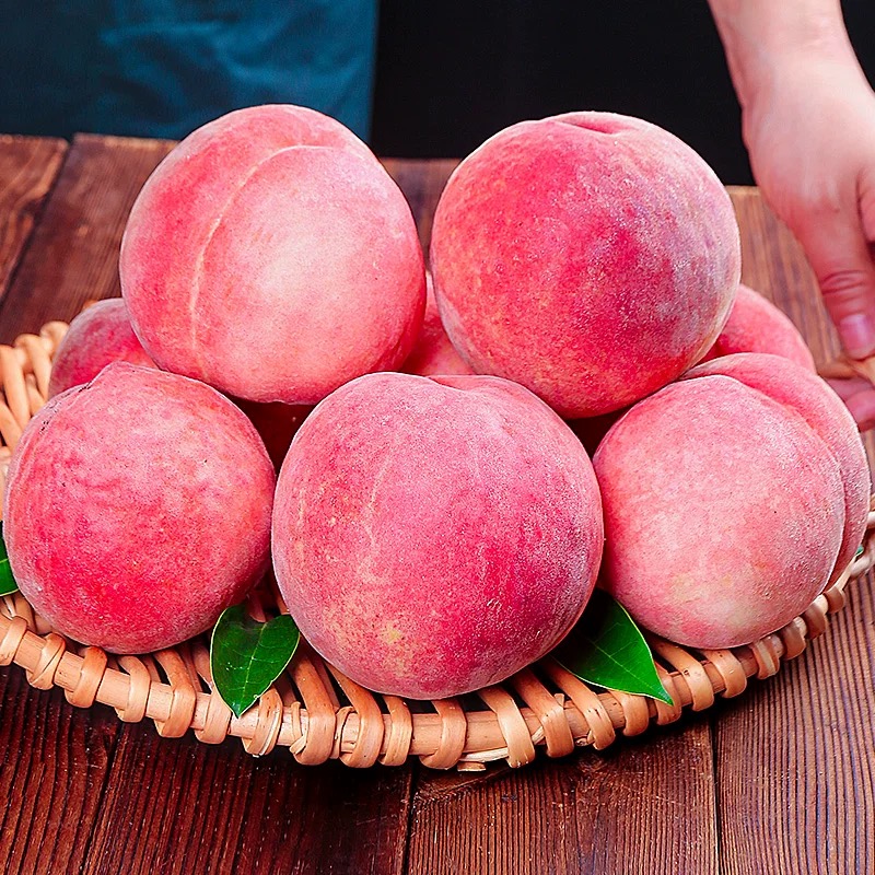 【现摘现发】头茬新鲜水蜜桃香甜爆汁自然熟露天生长孕妇水果