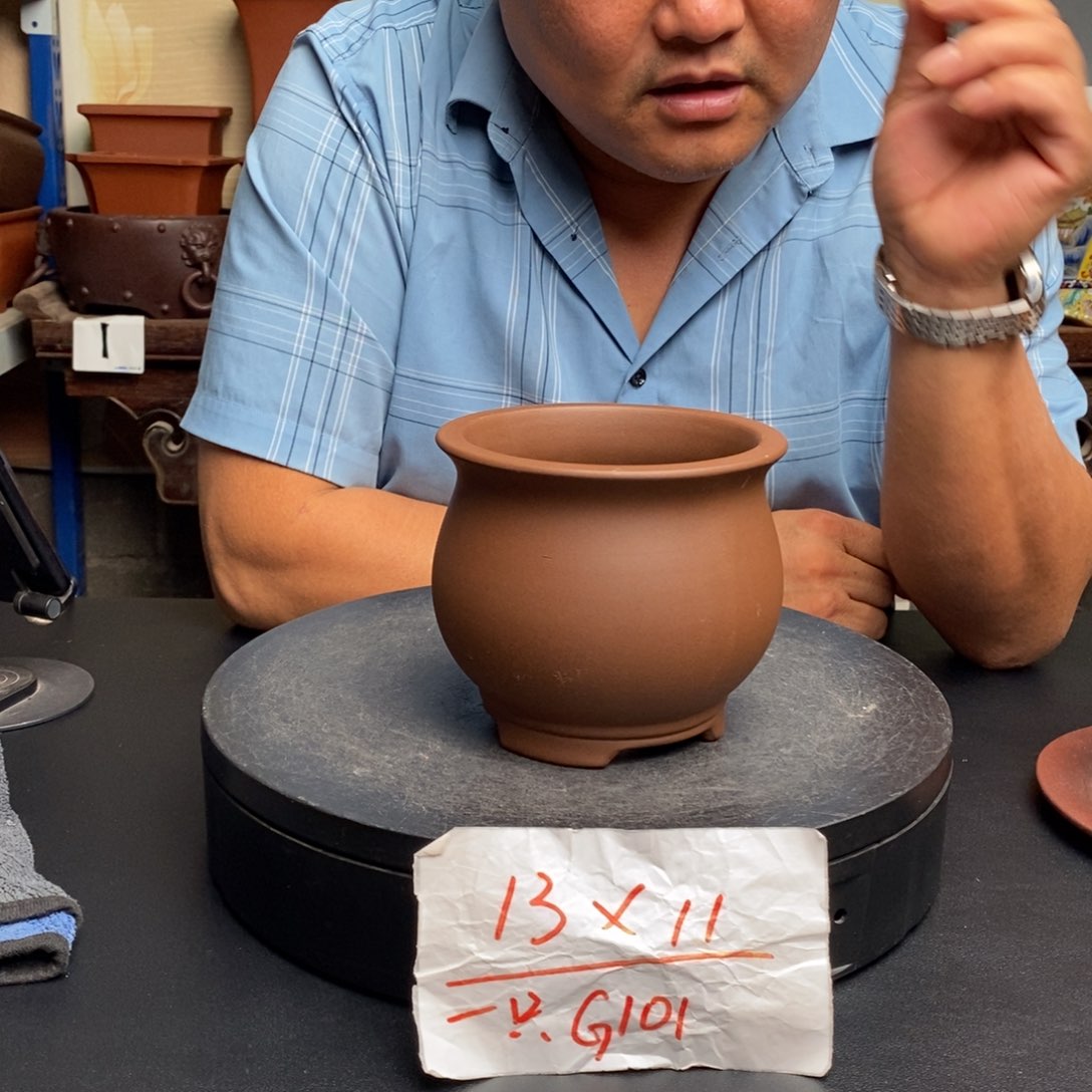 紫砂货号一只G101