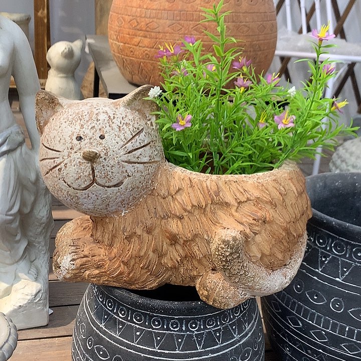 红陶高20长26口12.5