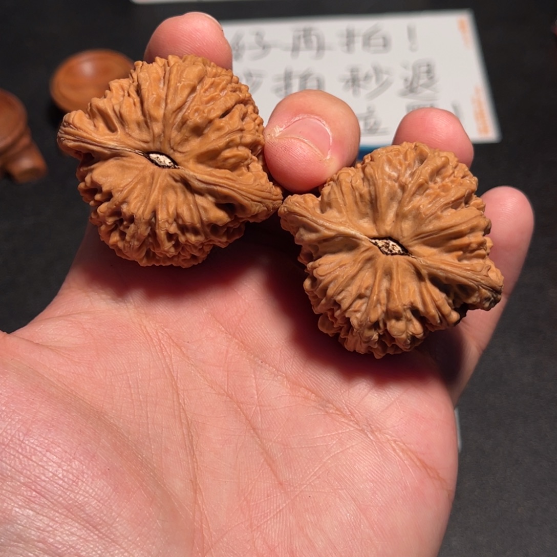 ****L45红皮万字纹赵喜满南疆有小反油