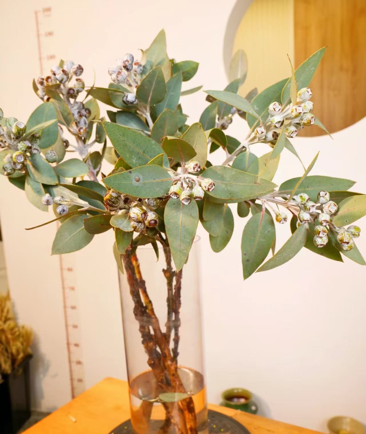 任意花材一份或者养护手册一份不支持指定哦