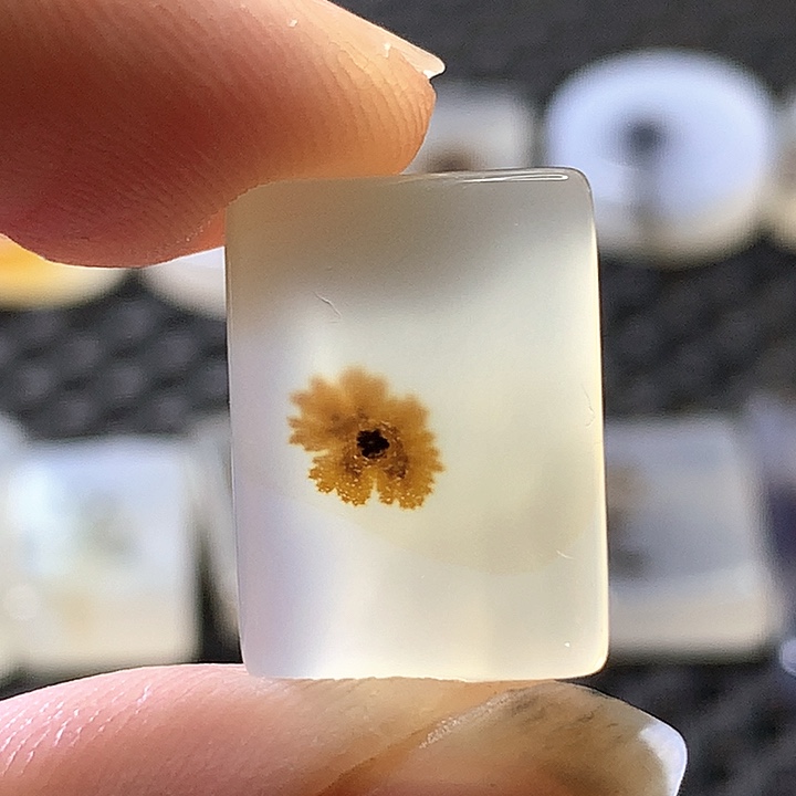 未镶嵌颈饰玛瑙/玉髓