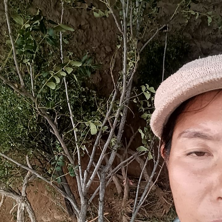 超***买完全开放12345678