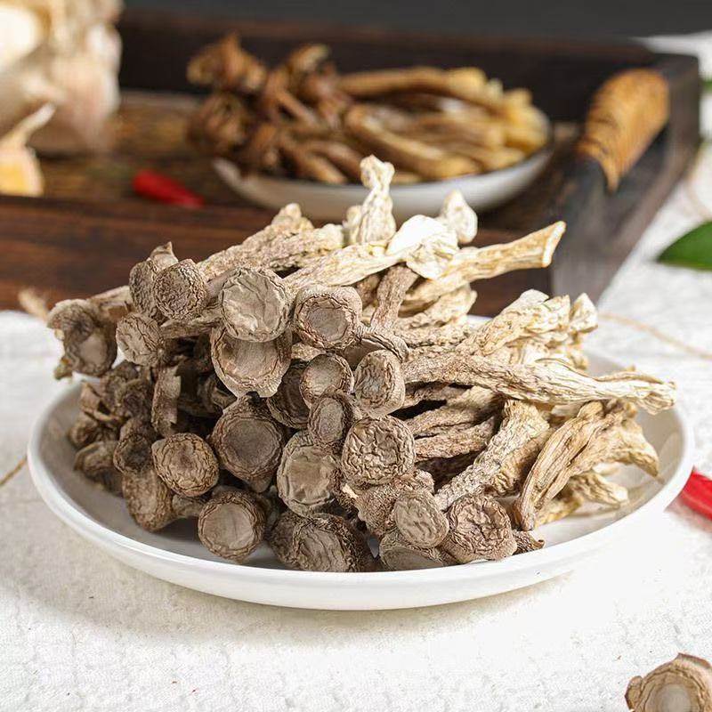 【拍一发四】鹿茸菌无熏硫鹿茸菇新鲜香菇干货鹿茸菇煲汤食材