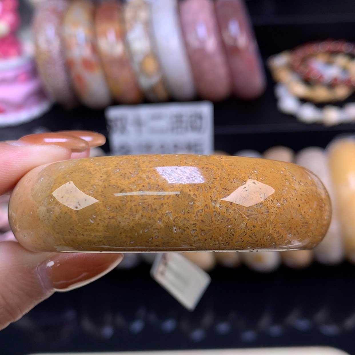 【闪购商品】颈饰未镶嵌硅化珊瑚（珊瑚玉）细闪金糖54.6（20号）