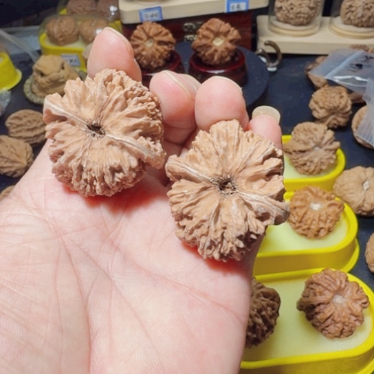 文玩核桃把件137狮子头