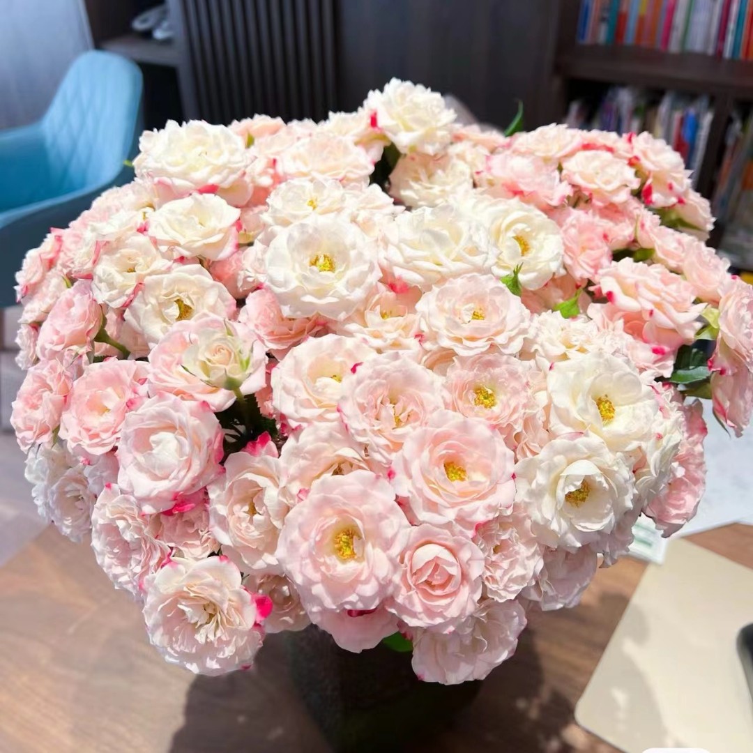 【折射】精选折射多头玫瑰家居摆放插花云南鲜花优质鲜切花