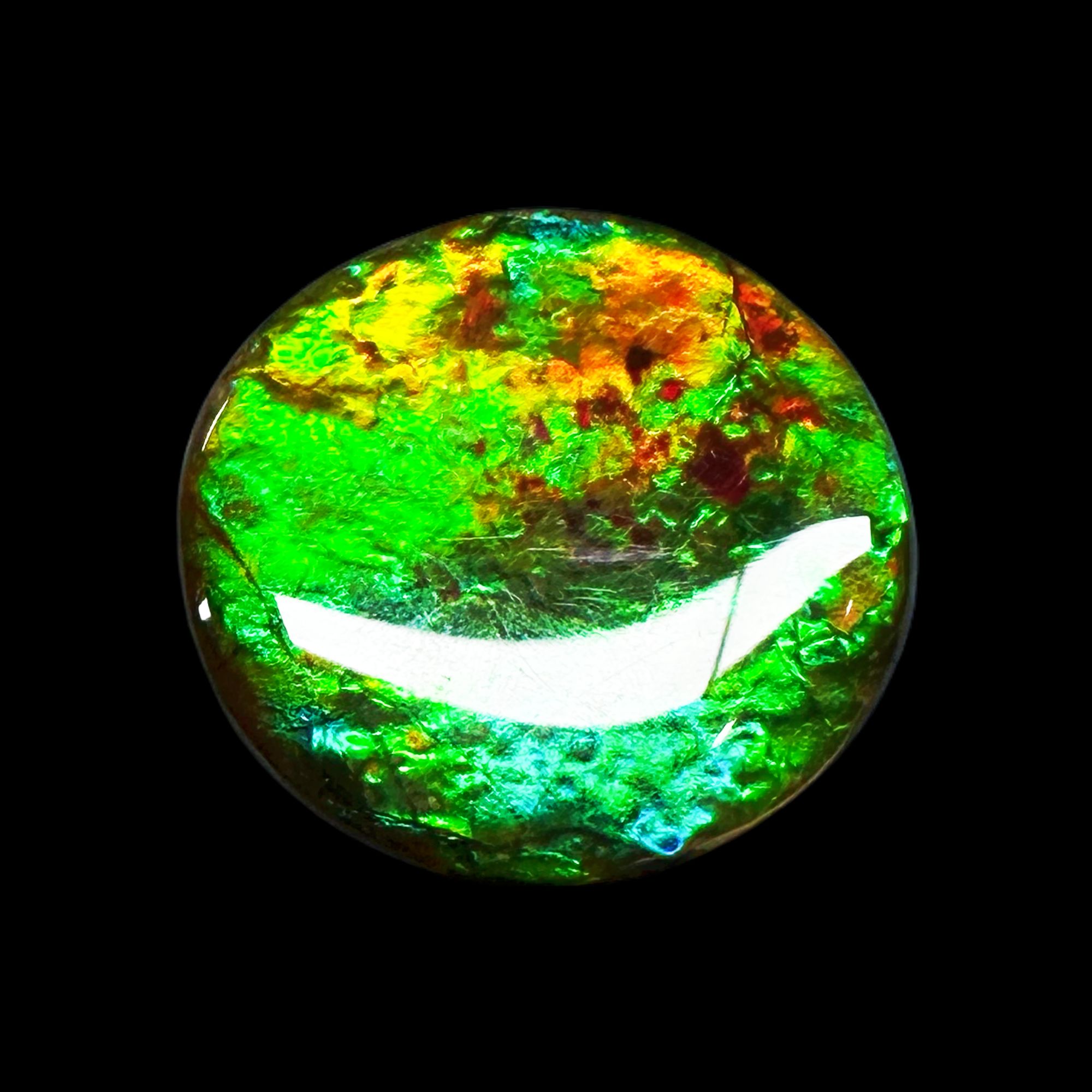 【斑彩】22.5mm BC 产地：加拿大 贝壳创意饰品 x 