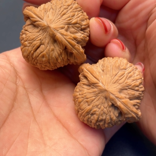 文玩核桃把件41➕泥鳅背全品