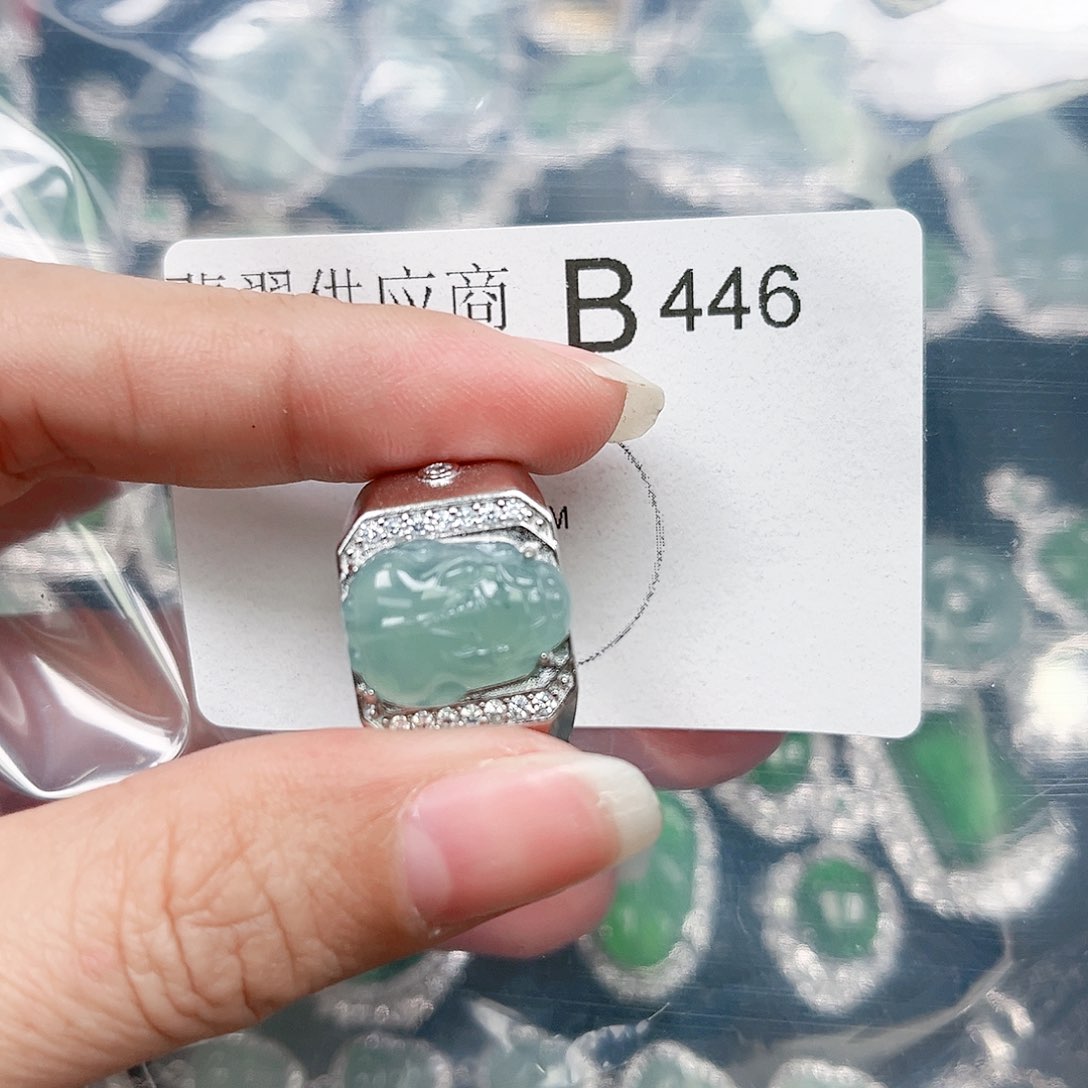 翡翠颈饰未镶嵌翡翠446