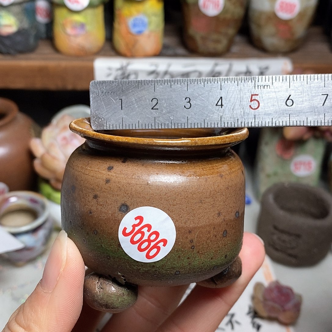 红陶拍5送一个小