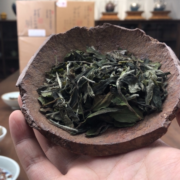 杯方守龙5年陈一级牡丹30g