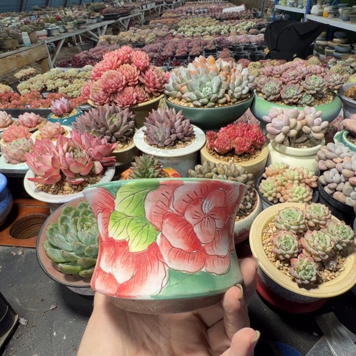 特价花盆满50发货内口11